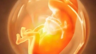 婴灵超度：堕胎因果轮回，是一切困难的开始