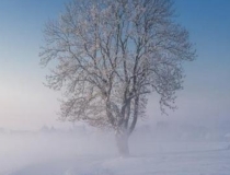 婴灵超度：佛说2个胎停育因果，可能是前世坏事做太多