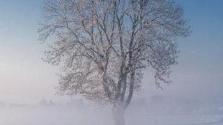 婴灵超度：佛说2个胎停育因果，可能是前世坏事做太多