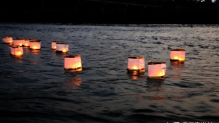 还受生债：怎样还受生债？仙道贵生，无量度人！