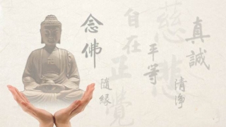 婴灵超度：海涛法师婴灵莲位查找网址 ， 揭秘堕胎后婴灵究竟去了哪