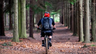 婴灵超度：被灵婴缠身导致一直不孕,就需要找人渡亡婴灵才能再次怀孕