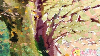 化太岁：冲太岁是好还是不好_冲太岁会特别倒霉？