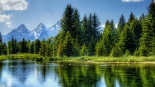 超度法事：老祖宗牌位的历史,供奉先人需要注意的问题