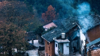 民俗文化：宝宝带什么辟邪保平安,可以使用狗牙来进行辟邪保平安