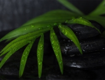 婴灵超度：常见超度婴灵方法需要注意的