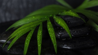 婴灵超度：常见超度婴灵方法需要注意的