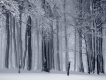 婴灵超度：堕胎的果报与化解方法,千万不要相信堕胎无伤害