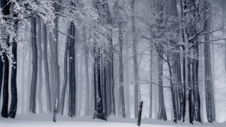 婴灵超度：堕胎的果报与化解方法,千万不要相信堕胎无伤害