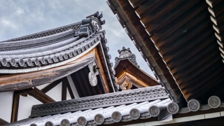 旺姻缘：改桃花运的4个简单诀窍,想脱单就要用心掌握