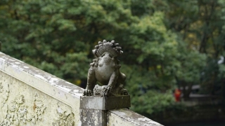 财库财运：开财库补财库怎么查,可以从生辰八字信息中查看,主要跟日支有关