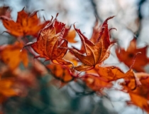 财库财运：为什么离婚后财运差 相应的解决方法