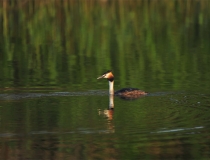 还受生债：改运气最快的改阴债，让你的人生从此开挂