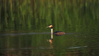 还受生债：改运气最快的改阴债，让你的人生从此开挂