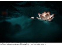 财库财运：泰国补财库九桶金／做一场补财库多少钱