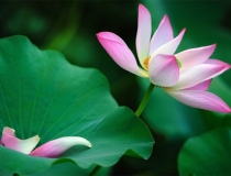 财库财运：运势不佳、财运不好、情感不顺请符有用吗？