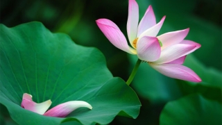 财库财运：运势不佳、财运不好、情感不顺请符有用吗？