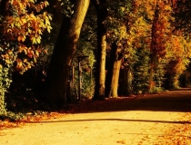 婴灵超度：化解堕胎婴灵的回向文,化解婴灵注意事项