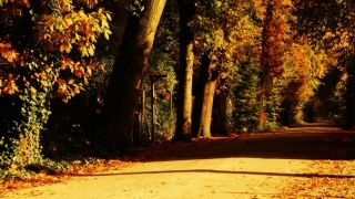 婴灵超度：化解堕胎婴灵的回向文,化解婴灵注意事项