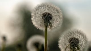 超度法事：没有超度亡灵转世投胎，对于我们自身的影响很大