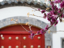 化太岁：民间常用的道教化太岁方法分享给大家