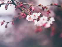 还受生债：阴债文表填写，让我们的人生更加顺利