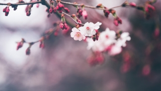 还受生债：阴债文表填写，让我们的人生更加顺利