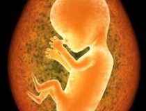 婴灵超度：女性堕胎的果报 灵婴一直在身边纠缠