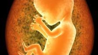 婴灵超度：女性堕胎的果报 灵婴一直在身边纠缠