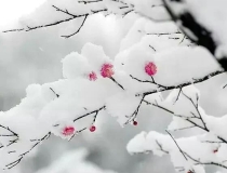 旺姻缘：道家不传秘法——催桃花，催婚姻，催子女