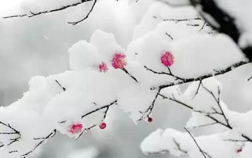 道家不传秘法——催桃花，催婚姻，催子女