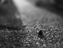 超度法事：风水中初一烧香有什么讲究，关于烧香禁忌有很