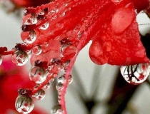 斩烂桃花：过来告诉你几个风水斩小三最毒方法