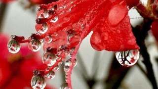 斩烂桃花：过来告诉你几个风水斩小三最毒方法