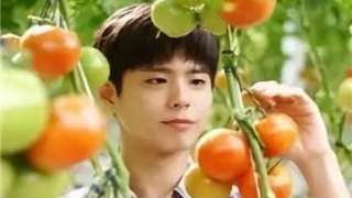 旺姻缘：怎样破老公的桃花运 教你用这些方法破解 让老公只爱你一人