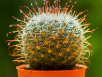 还受生债：大师教你还阴债正确的咒语