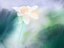 超度法事：梦到打掉的孩子来找我，这种就是需要超度的节