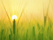 婴灵超度：堕胎后的婴灵报复,比常人想象的要可怕