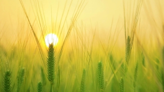 婴灵超度：堕胎后的婴灵报复,比常人想象的要可怕