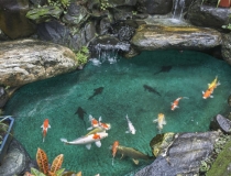 还受生债：改运气最快的改阴债，你们一定要知道的还阴债