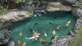 还受生债：改运气最快的改阴债，你们一定要知道的还阴债