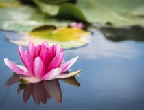 超度法事：梦见投胎转世，这是亡灵超度成功的表现