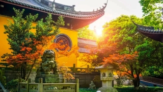 道教法事：天津哪里可以请符呢 哪里能请到灵验的道家符咒