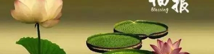 婴灵超度：超度婴灵佛教还是道教 , 怎样快速超度堕胎婴灵