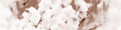 斩烂桃花：超实用的斩桃花方法有哪些
