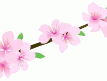 斩烂桃花：看易经风水如何教你斩断烂桃花