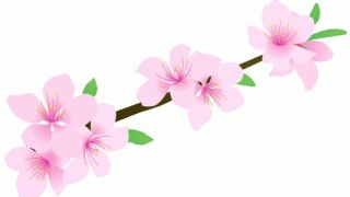 斩烂桃花：看易经风水如何教你斩断烂桃花