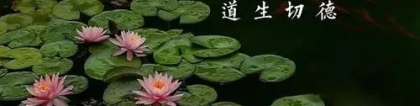 婴灵超度：三年后超度婴灵 , 超度婴灵诵什么经、持什么咒