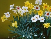 道教法事：老是噩梦连连吃什么调理,了解做噩梦的原因才能更好的调理化解