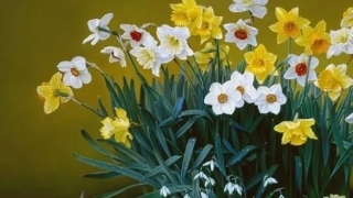 道教法事：老是噩梦连连吃什么调理,了解做噩梦的原因才能更好的调理化解